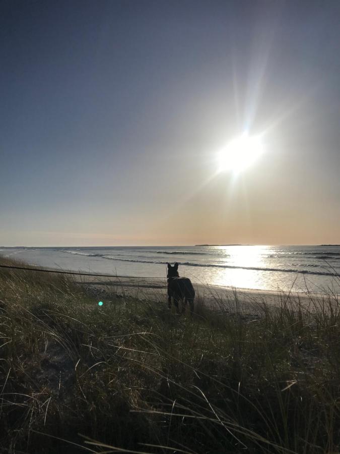 Ferry View Cottage Belmullet Luaran gambar